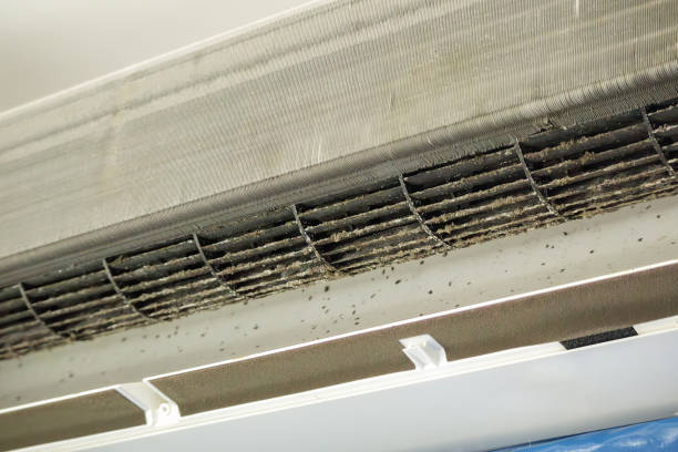 Home Air Vent Cleaning in Hillsdale, MI